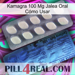 Kamagra 100 Mg Jalea Oral Cómo Usar 34